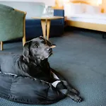 Alpine Perren Hotel