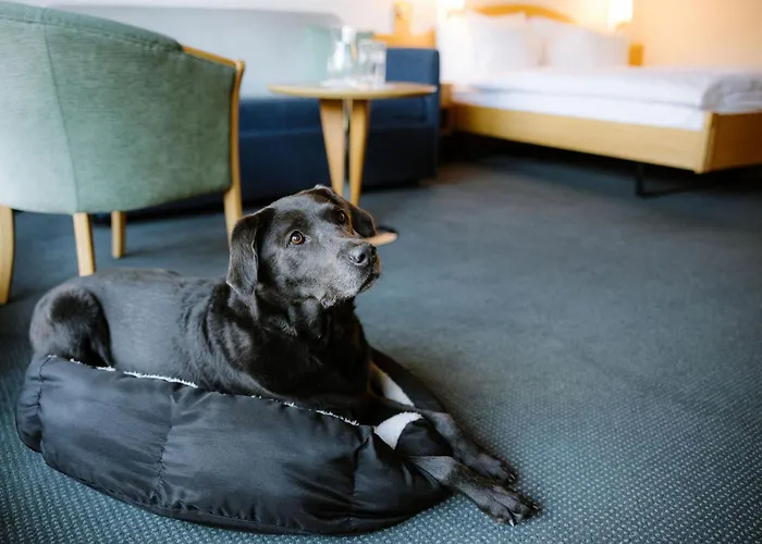 Alpine Perren ホテル