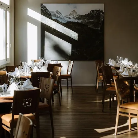 Alpine Perren Hotel