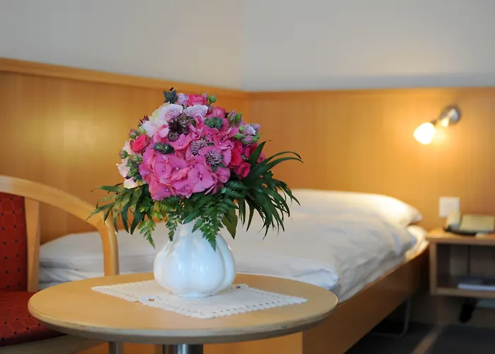 ホテル Alpine Perren